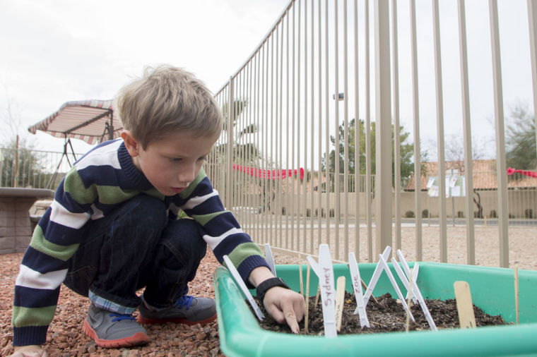 Garden at Children of Hope